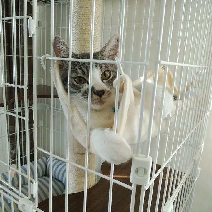 6ec82f3f 6c9e 432d 85f5 570f442b909a 1568096323217