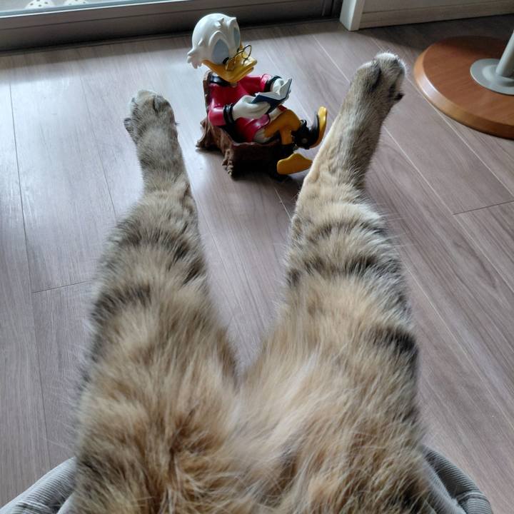 6ec85dd2 b0d9 4d8f 9eef 7fdc2fef524a 1773702927354