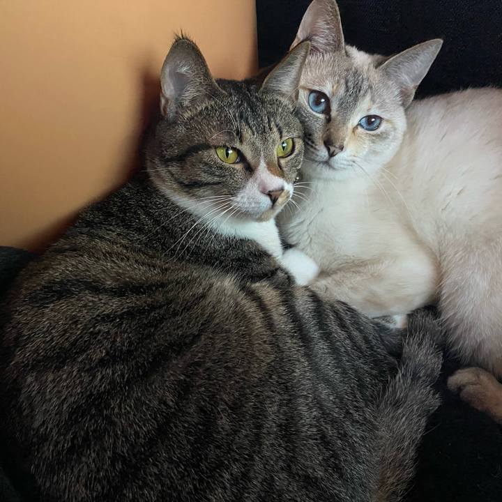 6ec874de d3d5 4577 9399 cead3a357509 1649056351409