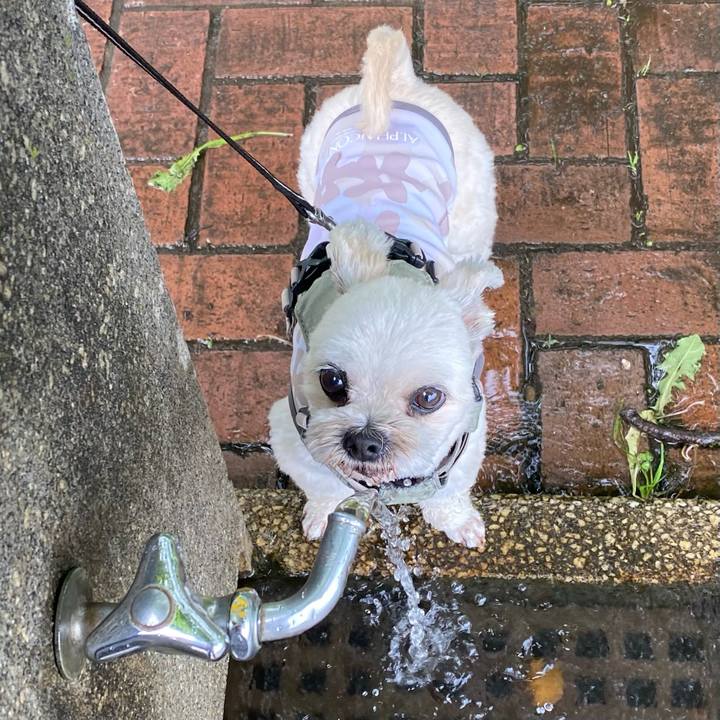 6ec8a6bd af30 40ec 9fce 60052c9e9e46 1747545610820