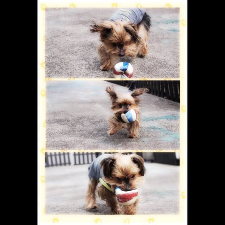 6ec8ac00 25a7 43fc bbfe 0b8a73600ef8 1520160147446