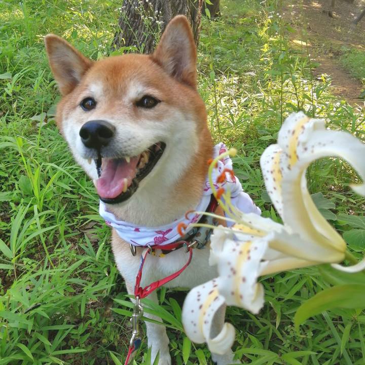 6ec8d4cf 1e0d 46b9 9ff0 d0f08a00bc8a 1689064285932