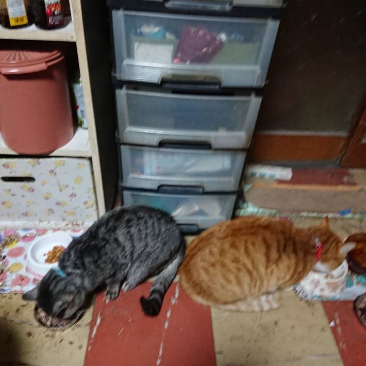 6ec8e58c a13e 4492 96ed 2edbfd3b9038 1577090585371