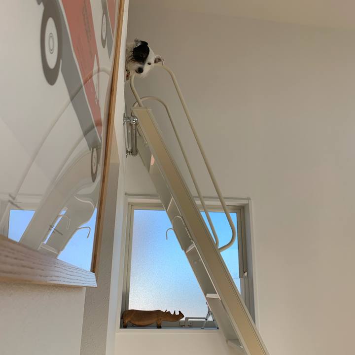 6ec8e5c4 9fc3 455e 97fd 95eba6b37dd5 1628574364208