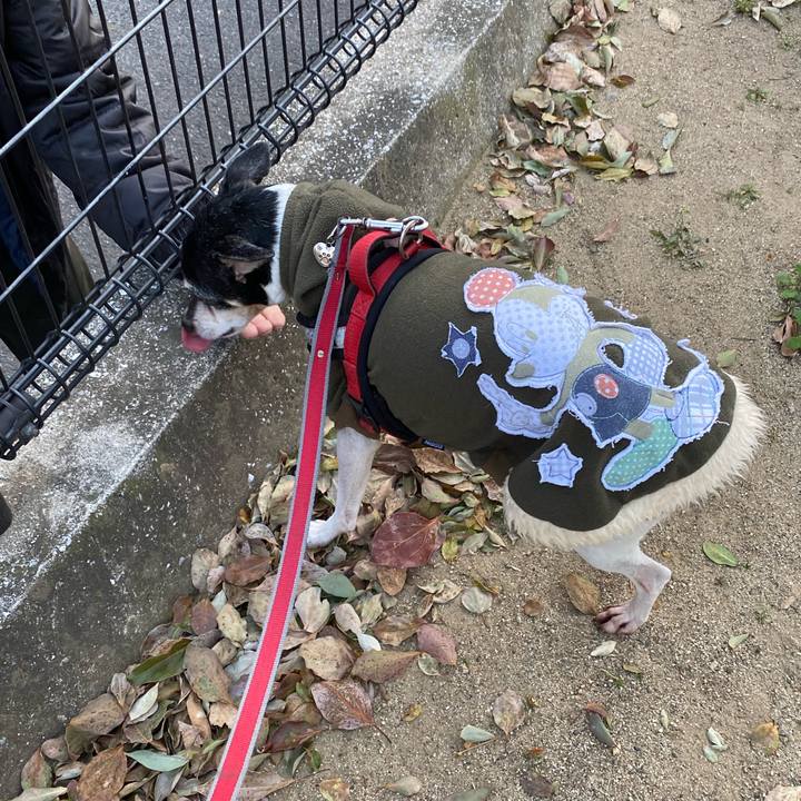 6ec8e931 c97e 400f bc59 6f158e451876 1585085182989