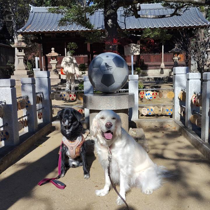 6ec93247 2313 44a8 abc2 b7184b6f14f1 1767777989485