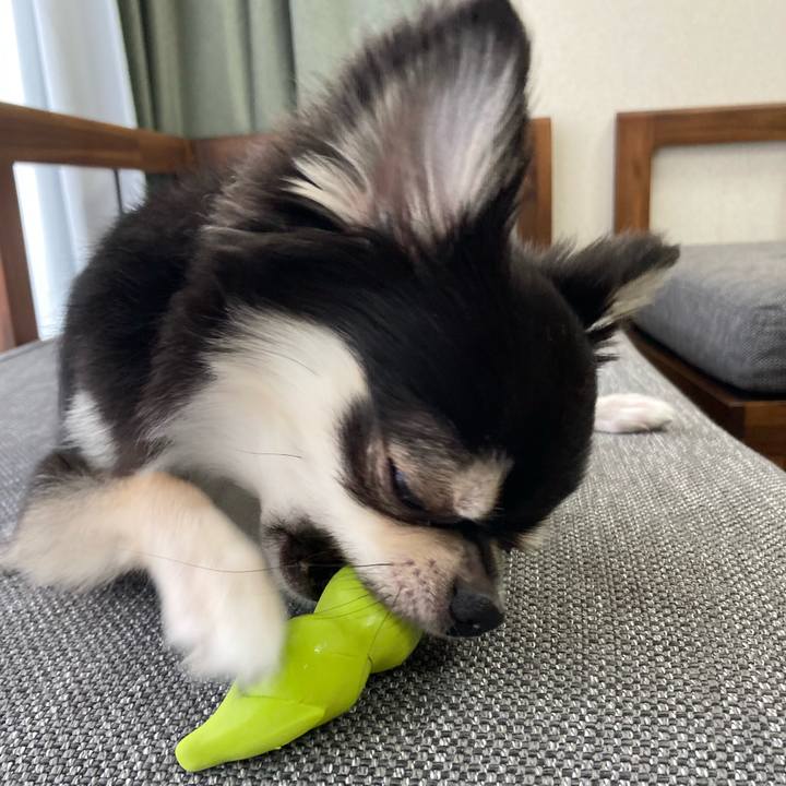 6ec94bb6 6d2a 4aae 867e d3a98339d052 1627688314213