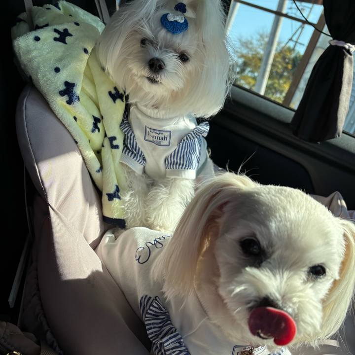 6ec95ffb 1939 4209 8dfd b01df888e0b4 1763629410852