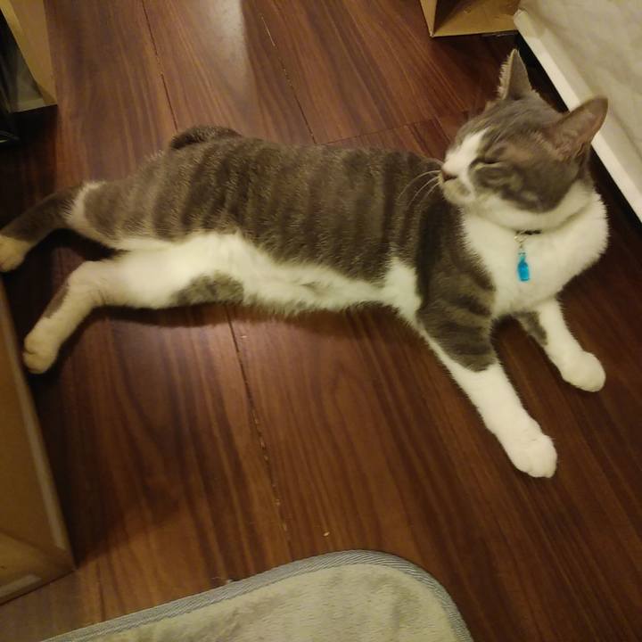 6ec96ea8 c83d 4424 b8f6 e55a1910b1ff 1589463257891