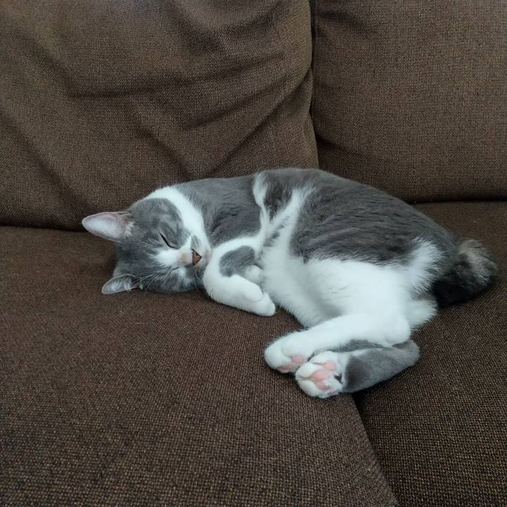 6ec9769b 517d 49d1 a3e3 23b0855fdd40 1639809861789