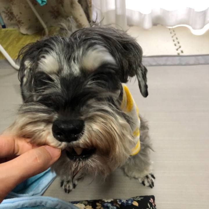 6ec98ea7 261a 428f 8388 d639dfa4510f 1577715395192