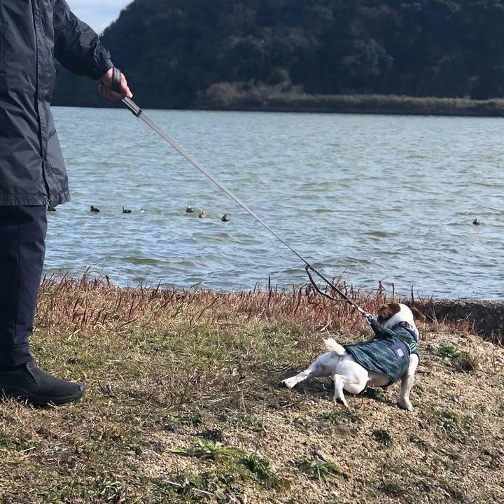 6eca1e82 b2b0 4bd6 981d b6f14fffe31a 1579429734061