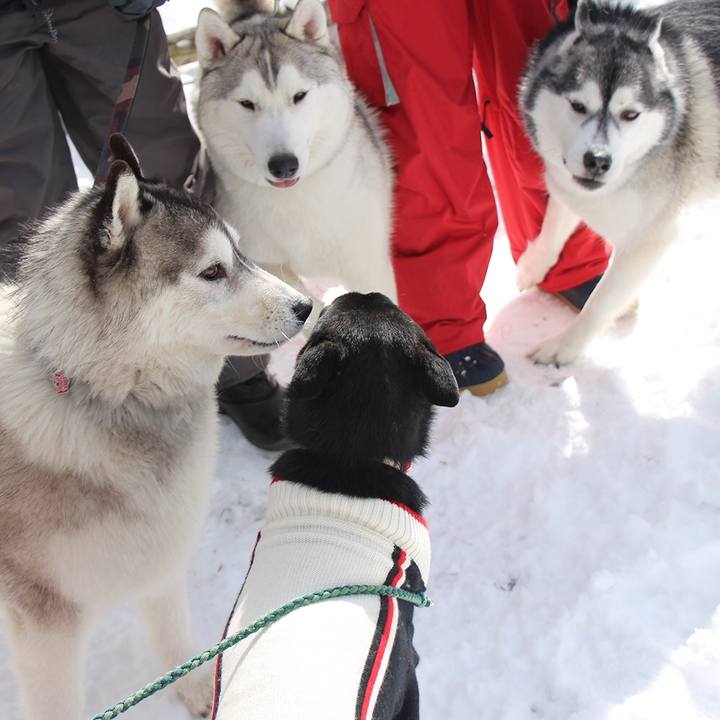 6eca52e6 aa56 4326 95a5 7af23c0c7f06 1520375357205