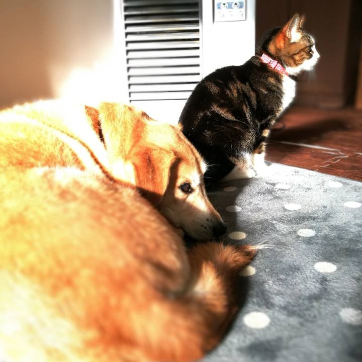 6eca83a7 347d 4d0d 8cee c0195007dc38 1549583832256