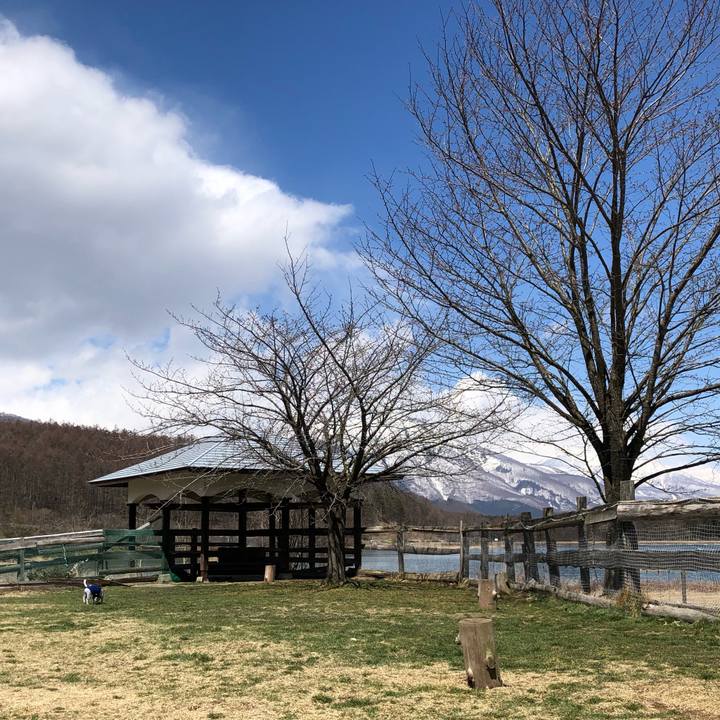 6ecaaf54 0e67 4924 8e70 b55e92a1d2fd 1555308161049