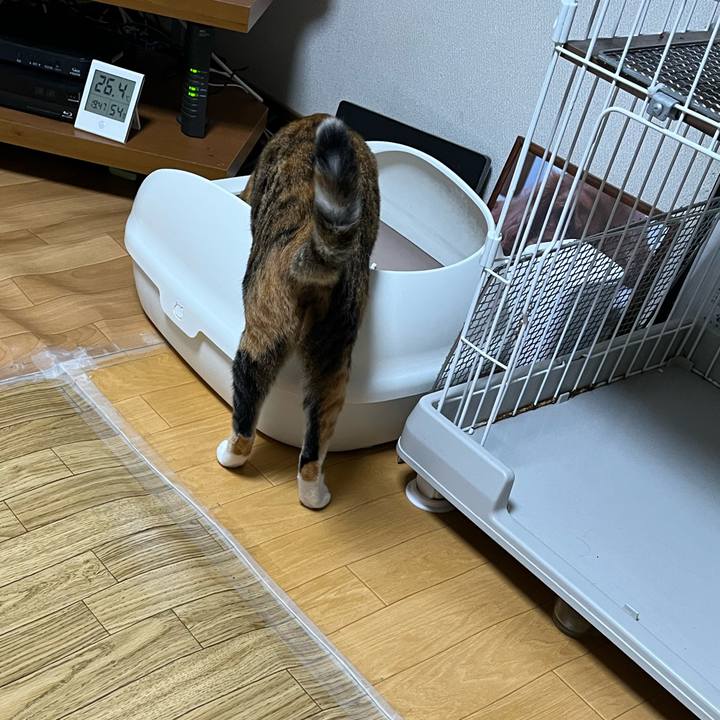 6ecaf50a 5784 4fdc acbb 6e200ca62d00 1751580942331