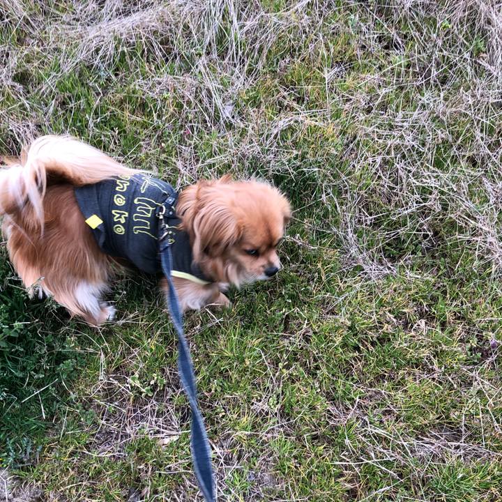 6ecb3aae 79ae 45f4 bb24 a90f689e506a 1553811942597