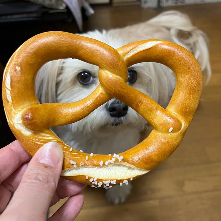 6ecb7266 ad58 4fe3 abb9 37e679f3183c 1773545971708