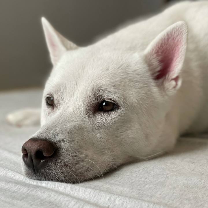 6ecb73f7 9480 4b57 bb88 136756c64434 1630811319973