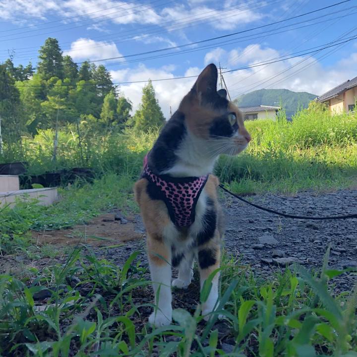 6ecb8c0c 356d 4e48 a205 0a4cf52395fa 1534458263335