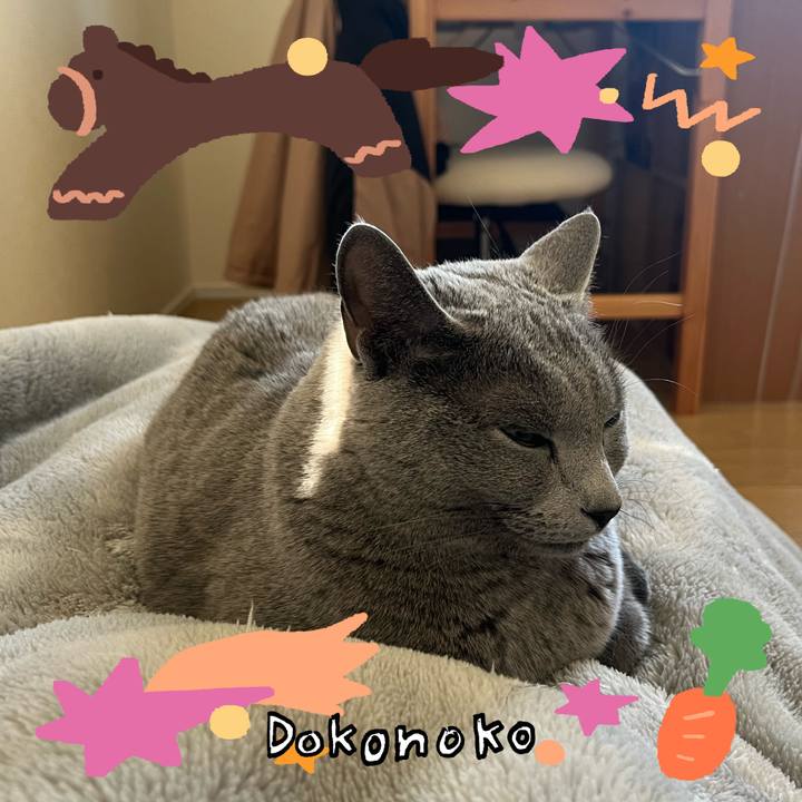 6ecbbff4 4165 4311 b6d2 adae9ba4081f 1772457721953