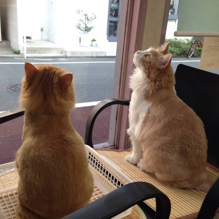 6ecc6c5f 3ab8 4ab2 ab4f 3fce49d84657 1513296294495