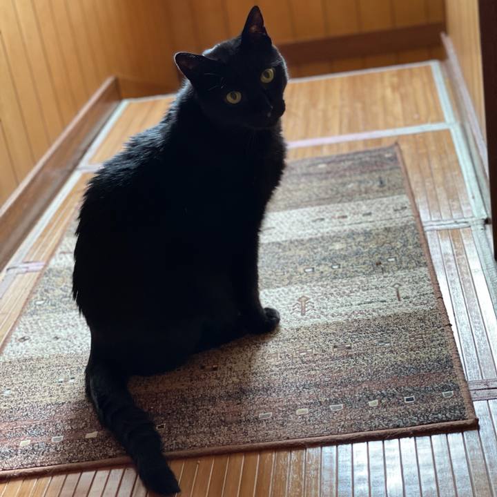 6eccb2b7 a097 4ffc 961e b59cd17a57bb 1623202317934