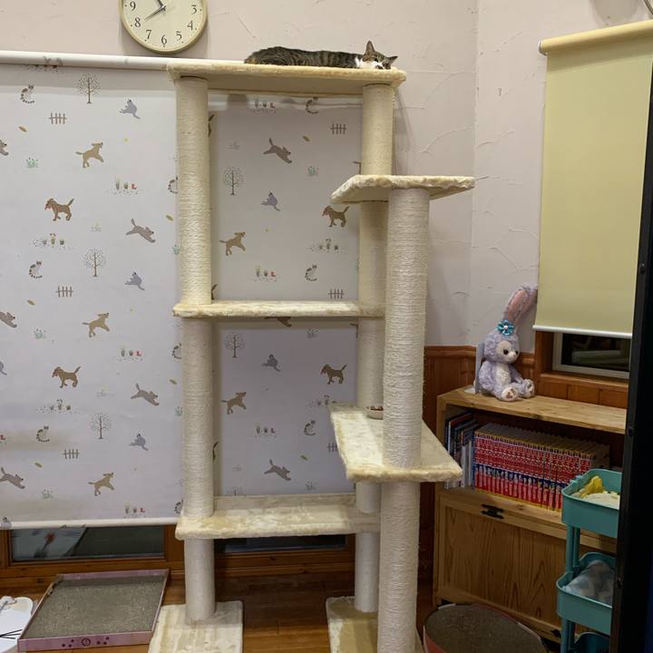 6ecd09d0 7bfd 47ec a29e 6a3b5526b93d 1629457844077