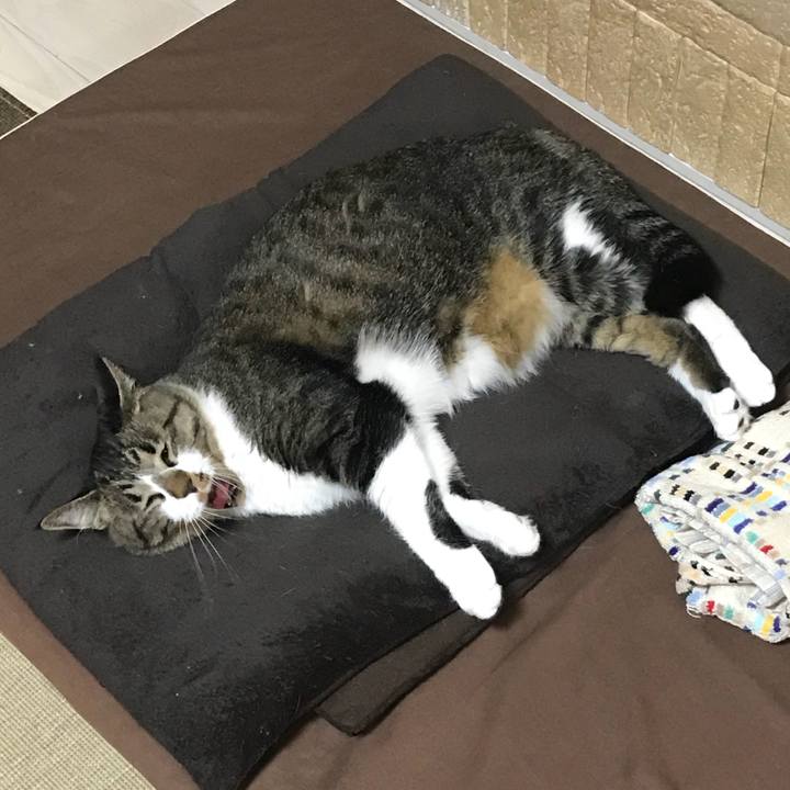 6ecd22a5 3104 4a41 8b8e 5dde33bdcf6b 1528032030231