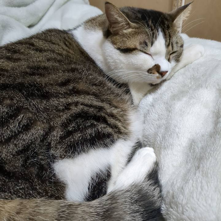 6ecd22f6 59ee 4495 8fc5 45e099089a24 1667038204402