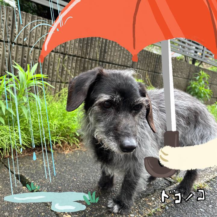 6ecd4aa9 cf25 4d76 afdc 7dfb5b6714c1 1749511157020