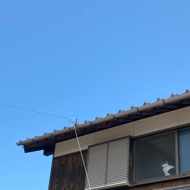 6ecd568d 2e96 49b1 aa77 df6fd6fdb53f 1650614739396