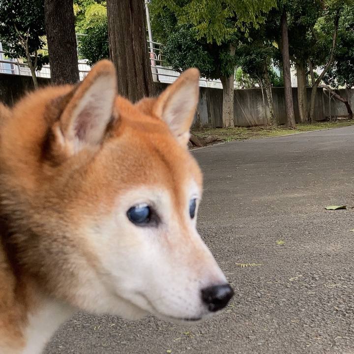 6ecd6daa 3b66 4ad9 aaca 32606395cefe 1730377511843