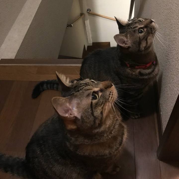 6ecd9ad5 5e13 47c4 b394 9c47f51013a7 1537876468615