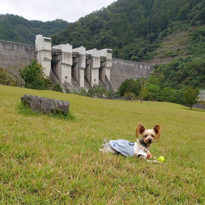 6ecda283 8170 428e bdb7 524e1f376e4e 1601704197588