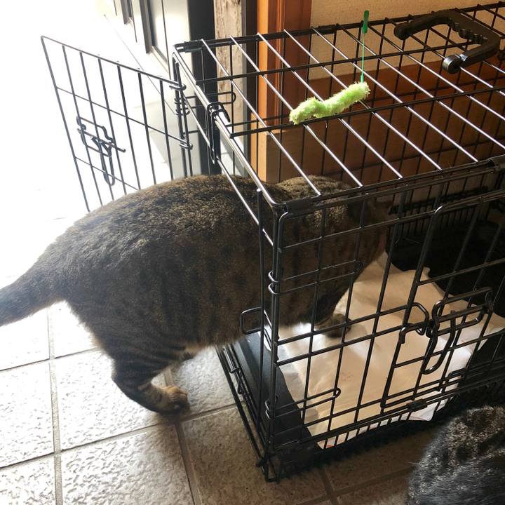 6ecdb2f5 c978 4334 b69f 5dc3dd584f20 1537141541411