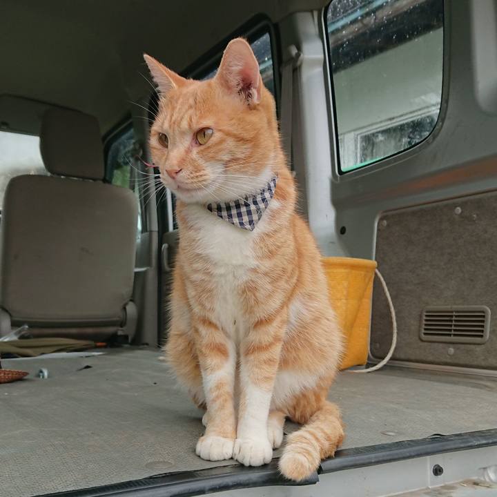 6ecdb3dc 6f0e 4152 8d37 5a153e46f63b 1571447150252