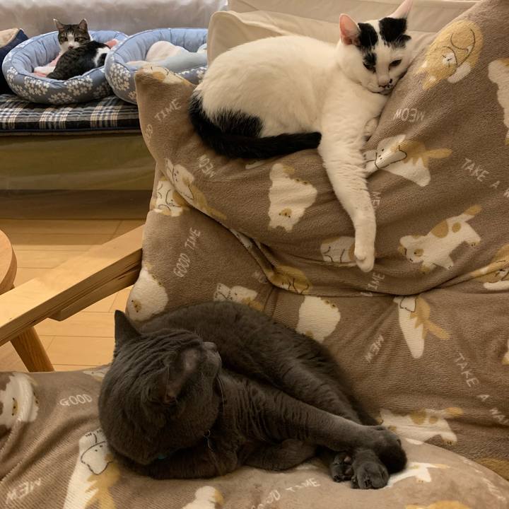 6ecdef20 c9a4 46e9 bc83 9e6356983470 1768915053038