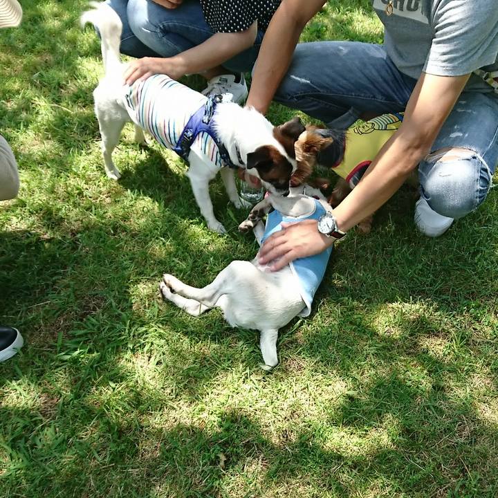 6ece0802 a778 4a2c 9990 34dd09028e98 1527406050702