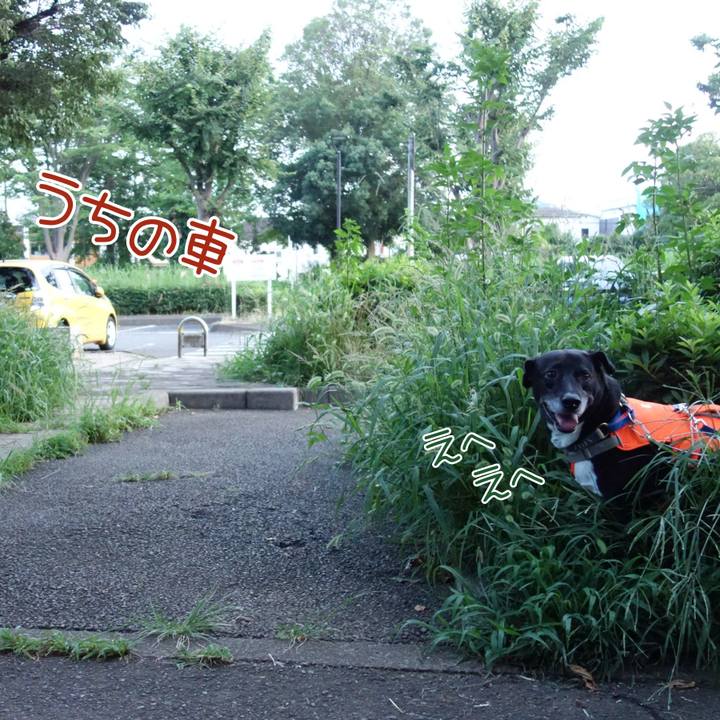 6ecf33c3 a33f 438a bc65 d683985c59d8 1722164607217