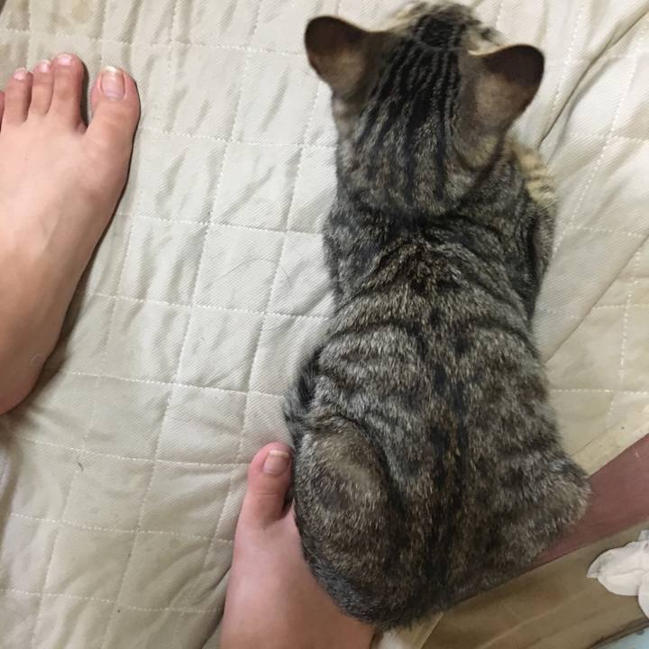 6ecf60a2 ad35 449a a711 17251ea26e42 1536791271577