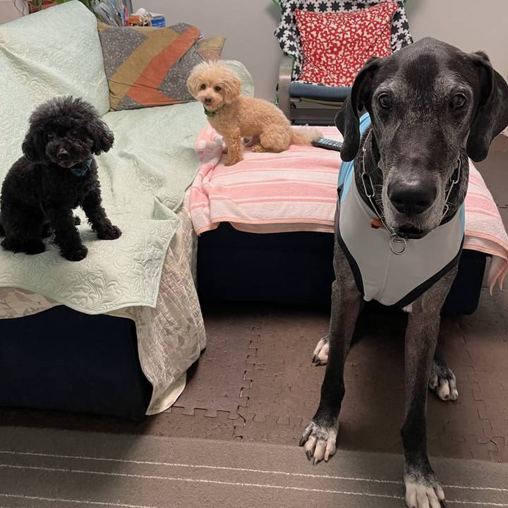 6ecfb135 e9fc 4ccc af59 2bca9c3ae9a2 1629758947093