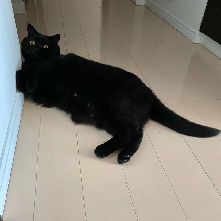 6ed025a0 b454 4035 81ae 89627ac9798d 1653778576997