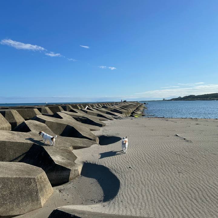 6ed06845 93e3 4e7b 8d66 1d7257ed0d1c 1631144550353