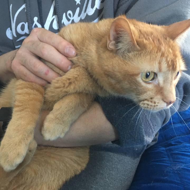 6ed07fba e6ca 42cc adeb 5b750890e50b 1617760707647