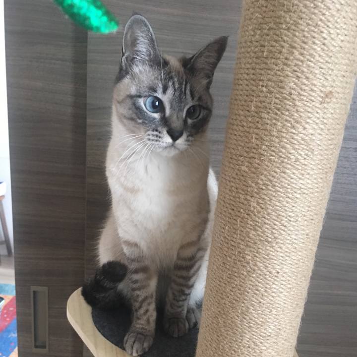 6ed0cbc7 0ef8 4a48 84eb f8332fa9c1ae 1578967468791