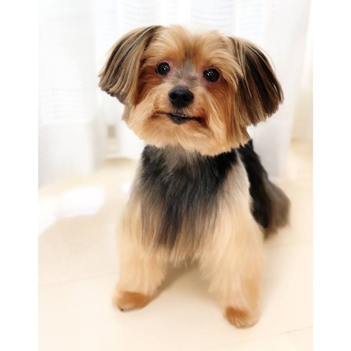 6ed0ee39 a21e 4c00 83ae b87465c03d19 1568174658837