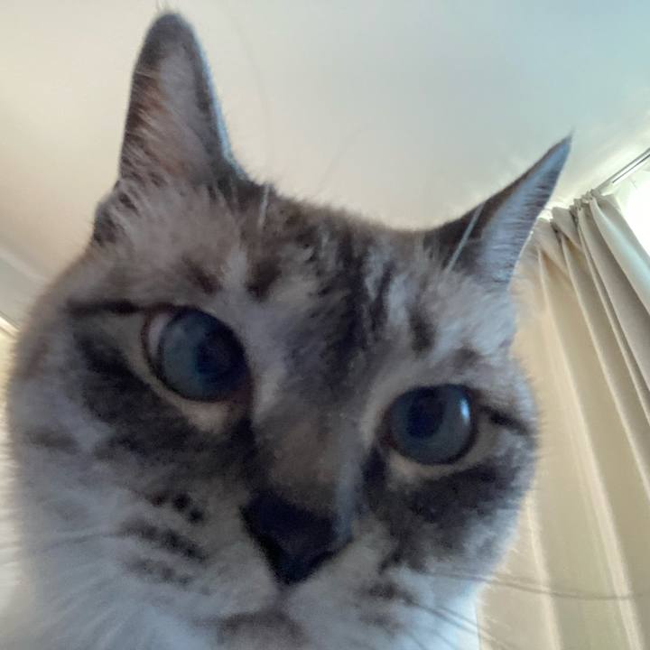 6ed11e70 cf70 4e2a a6d0 1b3ec5963383 1653693310376