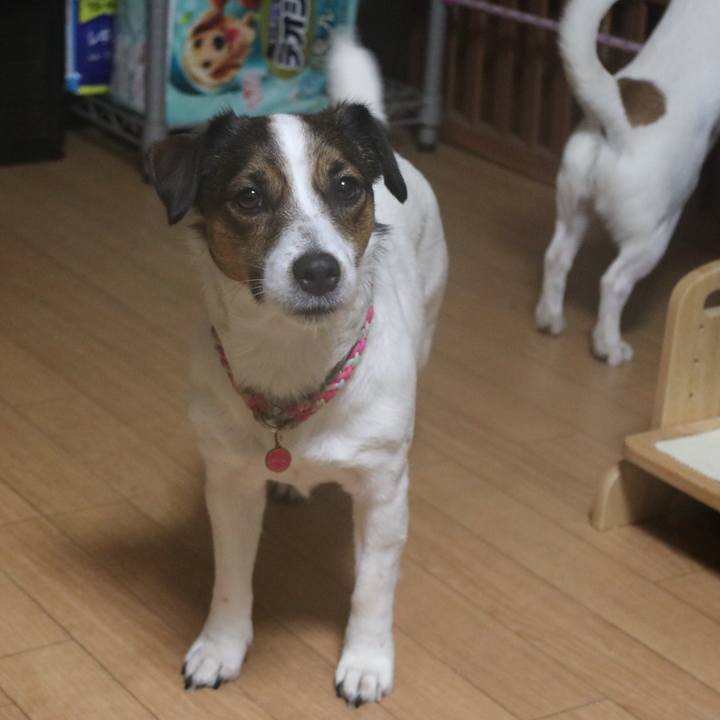 6ed132d3 a91a 4172 ba60 20299a225c5b 1517480019457