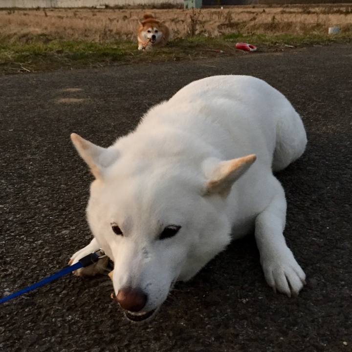 6ed15007 02f6 4116 ae2f ef61e06beb43 1545946972168